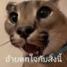 ก็แค่ลามกเอง😔 profil fotoğrafı