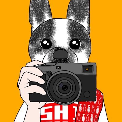 genphotoK's profile picture