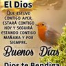Sandra Lacayo's profile picture
