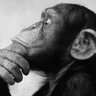 Just_a_Thought's profile picture