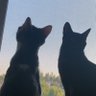 nickum profil fotoğrafı