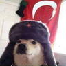 Arda's profile picture