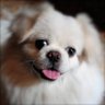 保罗 profil fotoğrafı