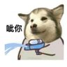 Profilbild von 嗞你