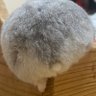 かちゃん profil fotoğrafı