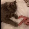 ام ود👩🏻❤️👩🏻 profil fotoğrafı