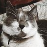 Кристиан profil fotoğrafı