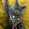 五九 profil fotoğrafı