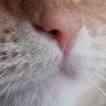 Hidden's profile picture