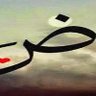 adel anwaar's profile picture