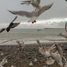 Aa___29's profile picture