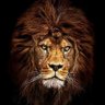 أبوسالم's profile picture