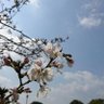 ぱた@n.SSign profil fotoğrafı