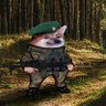 Baltic Sunrise 🇺🇦's profile picture