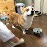 feature 的头像