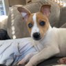 Pearl Bodine profil fotoğrafı