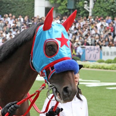 CBCヒッキー@JRA個人馬主's profile picture