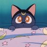 ぴか(ё)/'s profile picture