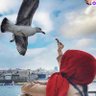 Фото профиля eng333