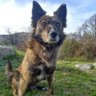 Profilbild von Rayito
