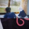 PEZADO 🇺🇦's profile picture
