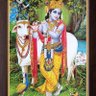 Фото профиля Shiv kumar Basant 🇮🇳
