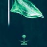 الدبلوماسي 的头像