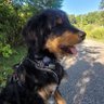 Profilbild von Bailey