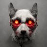 Profilbild von Don