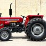 Profilbild von SavutaFarms