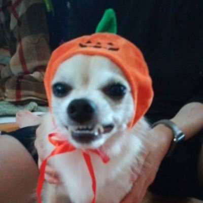 WaSac88673728's profile picture
