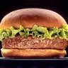 Burger Hald profil fotoğrafı