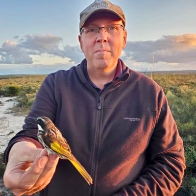 Rob Davis's profile picture
