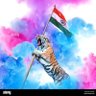 Фото профиля Vijay Dhiman