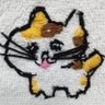 たかねこ's profile picture