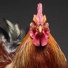 Jaime 🚜🇳🇱🇸🇷 profil fotoğrafı