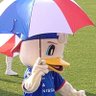 maritan24 的头像