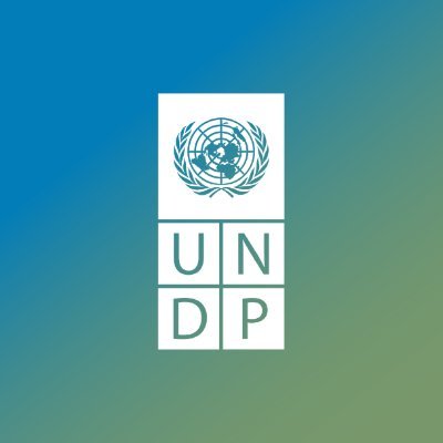 UNDPAfrica's profile picture