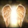 Guardian angel's profile picture