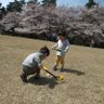 Profilbild von よーた・そーしママ