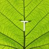 Tom B's profile picture