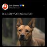 Joe guyson profil fotoğrafı