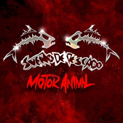 Sueño de Pescado's profile picture