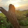 めっちー profil fotoğrafı