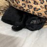 棒棒糖's profile picture