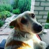 Лилия Щетинина 的头像
