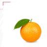 Profilbild von おれんじ🍊