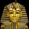 mamdouh957's profile picture