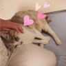 Фото профиля なおにゃん