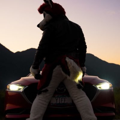 CennyHusky's profile picture